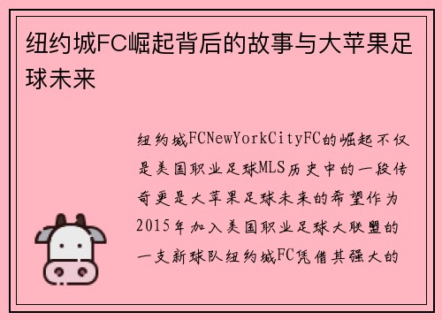 纽约城FC崛起背后的故事与大苹果足球未来